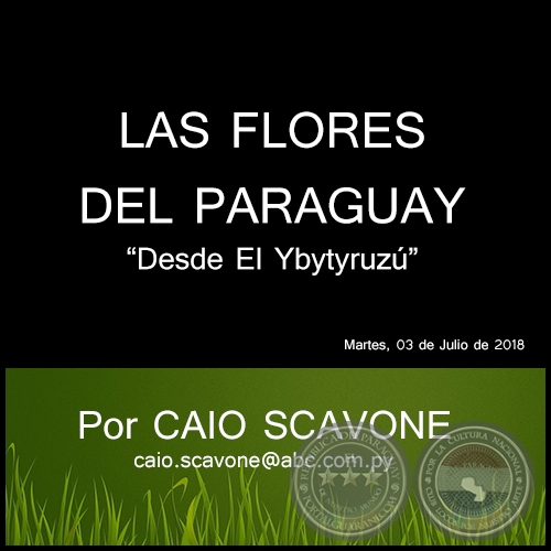 LAS FLORES DEL PARAGUAY - Desde El Ybytyruz - Por CAIO SCAVONE - Martes, 03 de Juliio de 2018